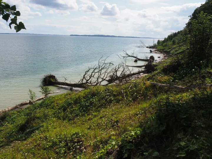 Trelde Næs (Fredericia) (Denemarken) 